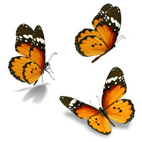 Violet Shutterly Obituary, Jacksonville, FL